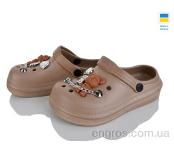 Кроксы Golden Lion